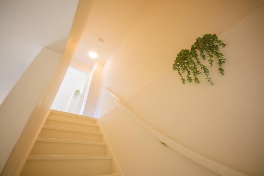 Lovely 3 Bedroom Apartment In Eindhoven 65M2 - Sd23N Exterior photo